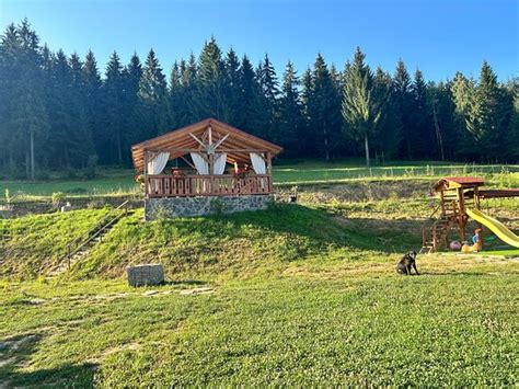 pensiunea poiana brazilor borsa|Guest house Poiana Brazilor Borsa (Maramures), Romania